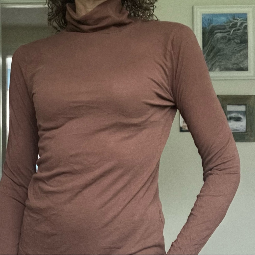 Brown Long Sleeve Turtleneck Top